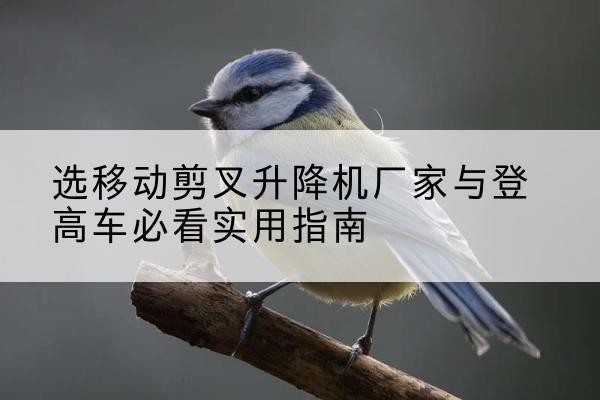 武冈电动升降机厂家-选移动剪叉升降机厂家与登高车必看实用指南