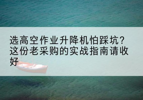 武冈高空作业升降机厂家推荐-选高空作业升降机怕踩坑？这份老采购的实战指南请收好