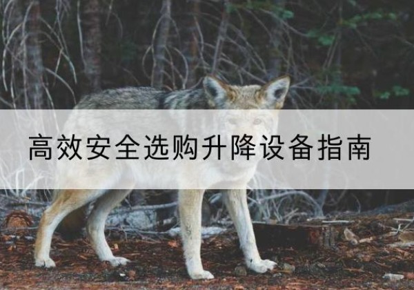 武冈升降货梯厂家推荐-*安全选购升降设备指南