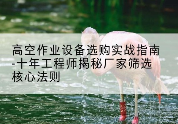 武冈剪叉式升降机厂家-高空作业设备选购实战指南-十年工程师揭秘厂家筛选核心法则